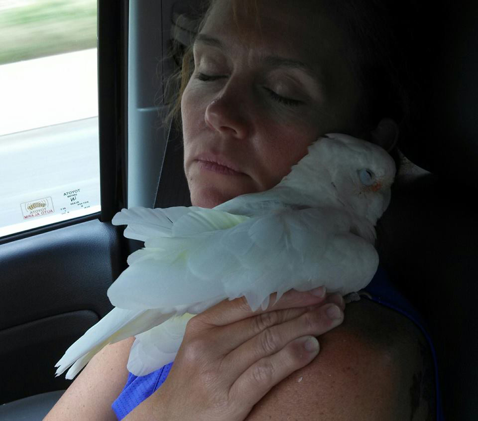 Terrie Matz with her beloved Daisy